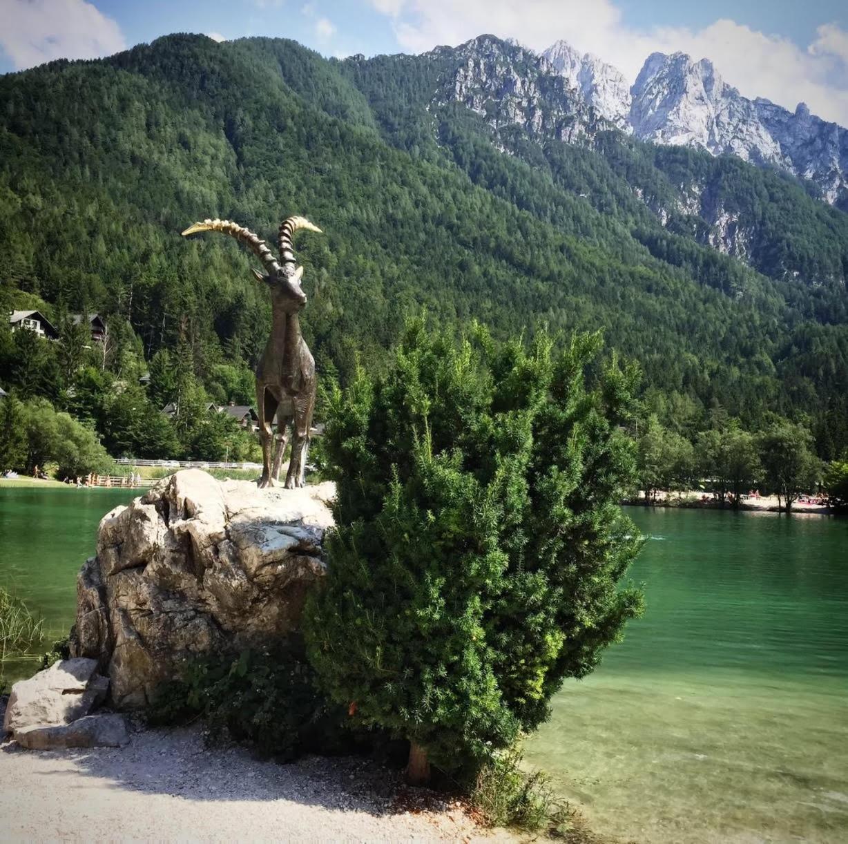 Ski Hut Smucka Kranjska Gora Esterno foto